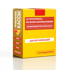 Отчетность_орг_Новосибирская область